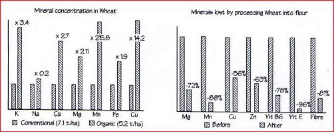 USDA published a report of its findings on diet, Waternet Epping